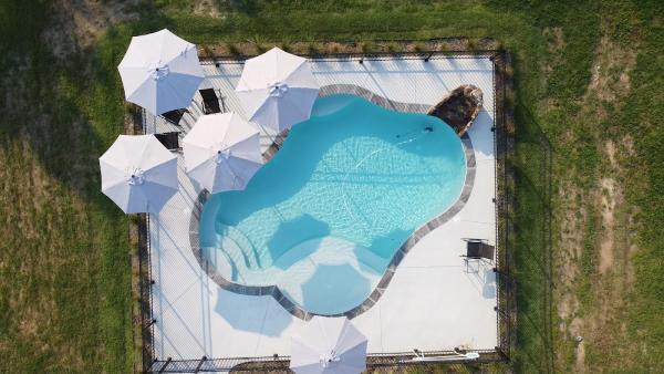 Black Bear Summer Pool