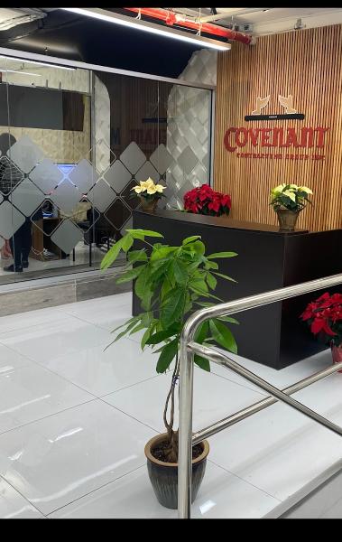 Covenant Contracting Group Inc