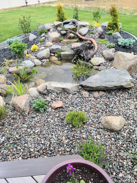 Palmer Landscape Design