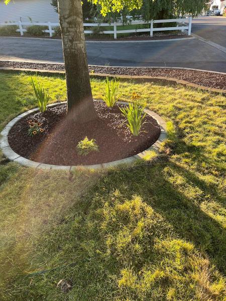 Palmer Landscape Design