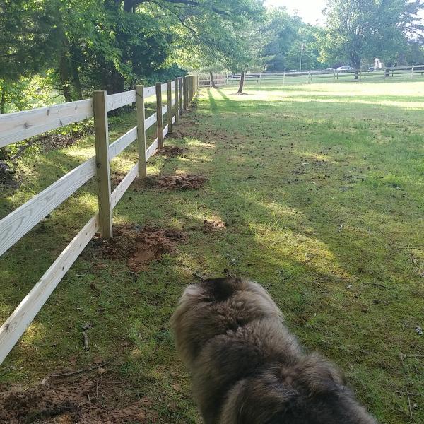 Thomas Fence Co