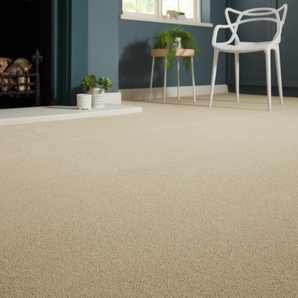 Alfred & Sons Carpet Cleaners