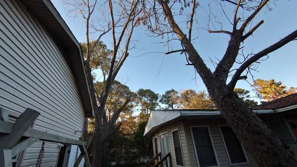 Mr d'S Tree & Landscaping Service LLC