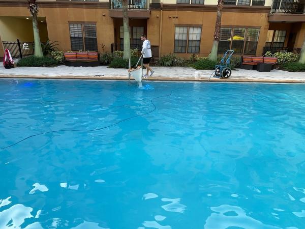 Pool Sharks