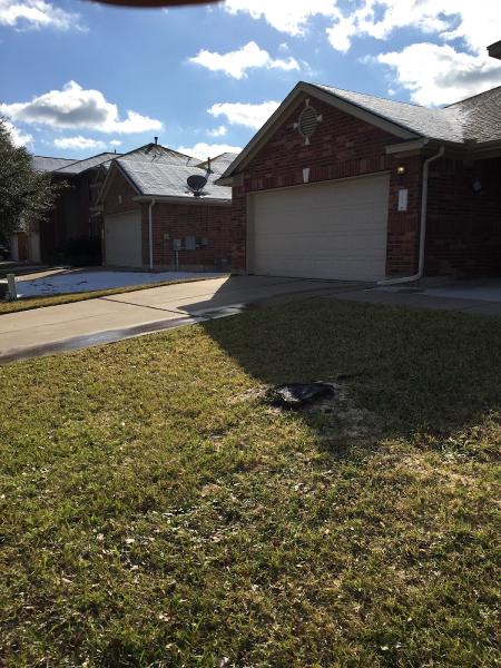 Monarch Tree Service ATX