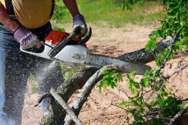 Monarch Tree Service ATX