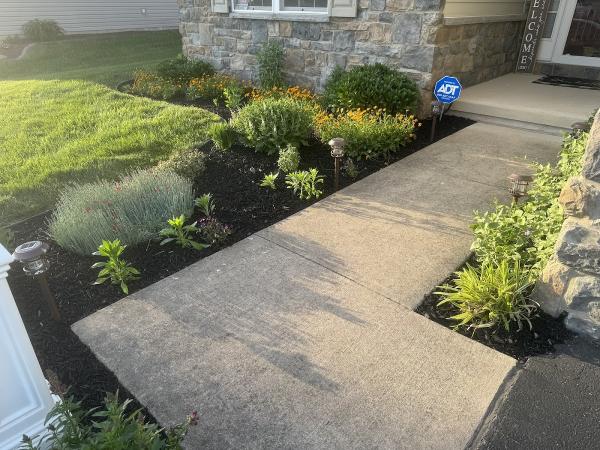 Xtreme Property Services LLC