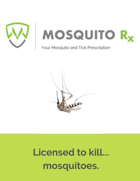 Mosquito Rx