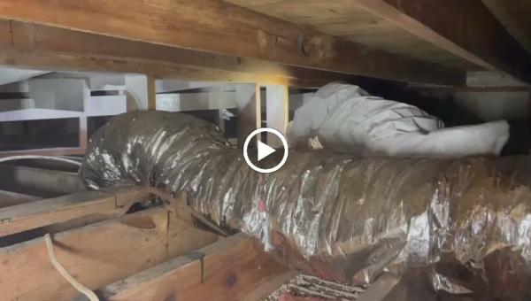 Ediss Mold Remediation