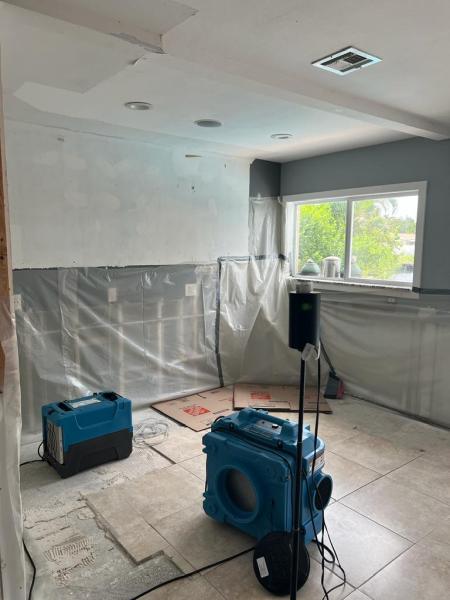 Ediss Mold Remediation