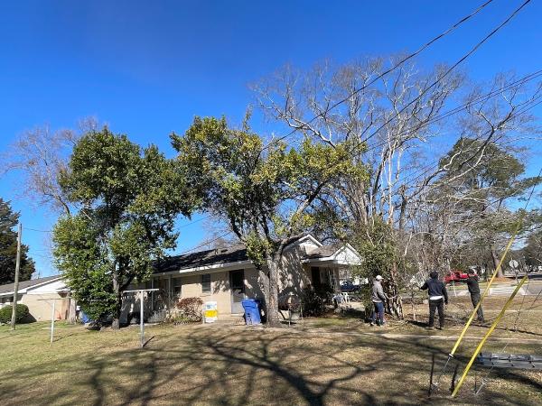 Ramos Tree Service