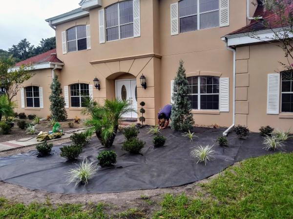 All Tree Service& Landscape!!