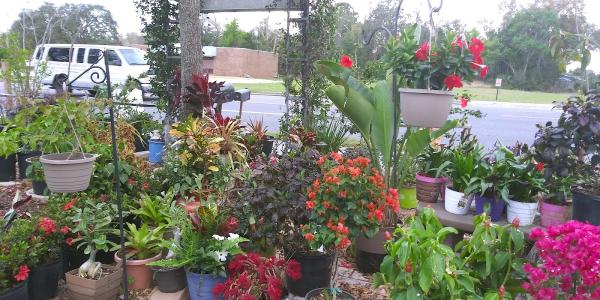 All Tree Service& Landscape!!