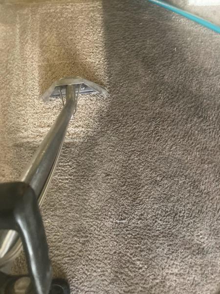 TCK Carpet Cleaning