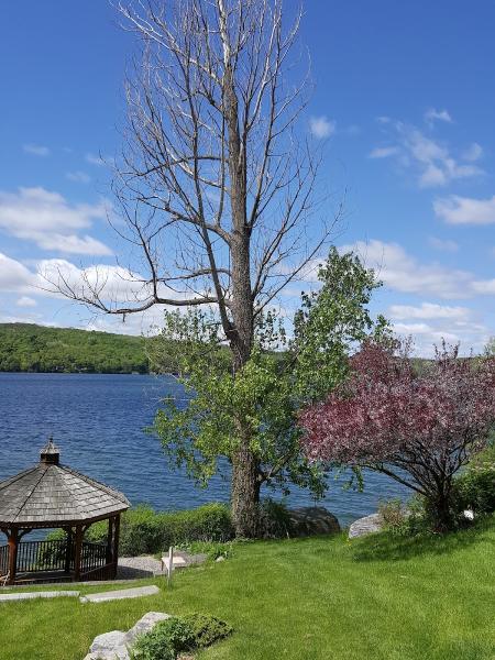 Michael Grimm Landscape & Tree Service