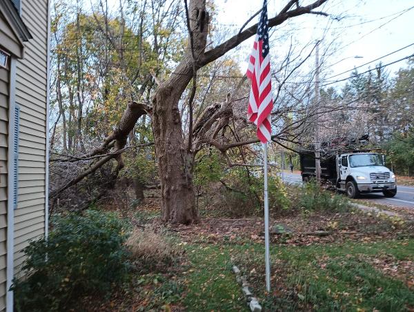 Michael Grimm Landscape & Tree Service