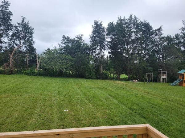 Alberto Gutierrez Lawn Service