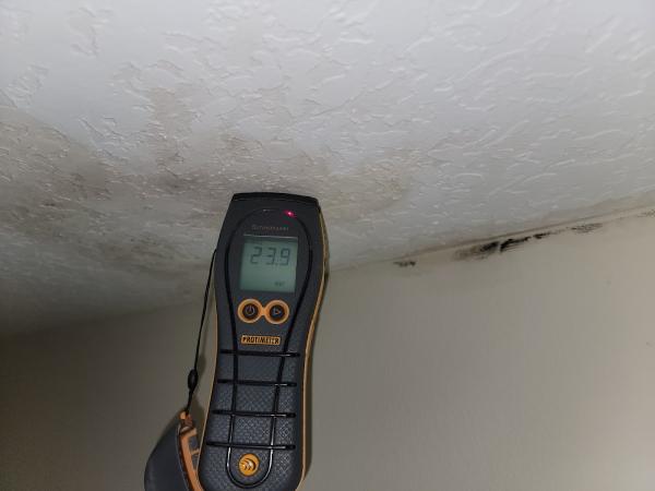 D'Angelo Property Inspections