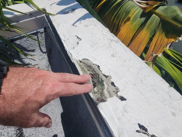 D'Angelo Property Inspections