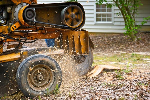 BT Stump Grinding