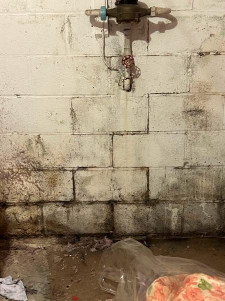 TDM Mold Inspection and Testing Services