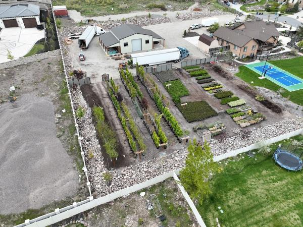 ACE Landscape