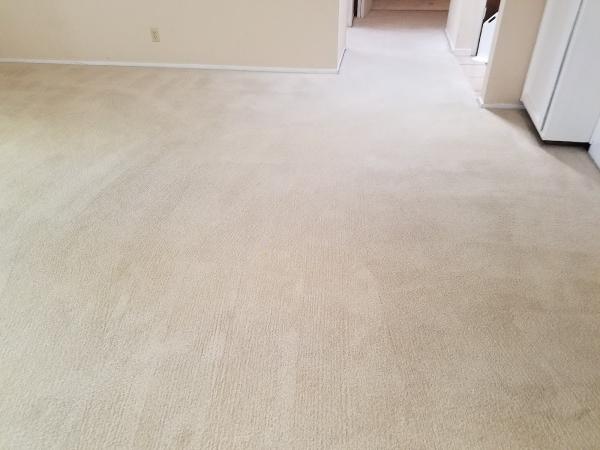 Gold Standard Floor Care