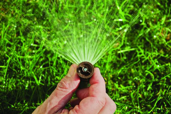 Rain Day Irrigation