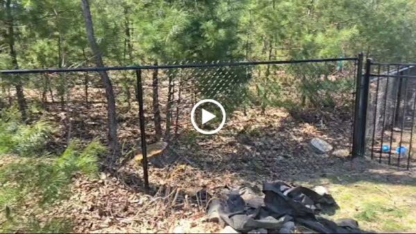 Nestor's Fence