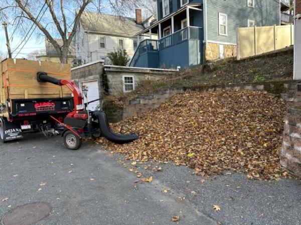 Sasso Landscaping Inc