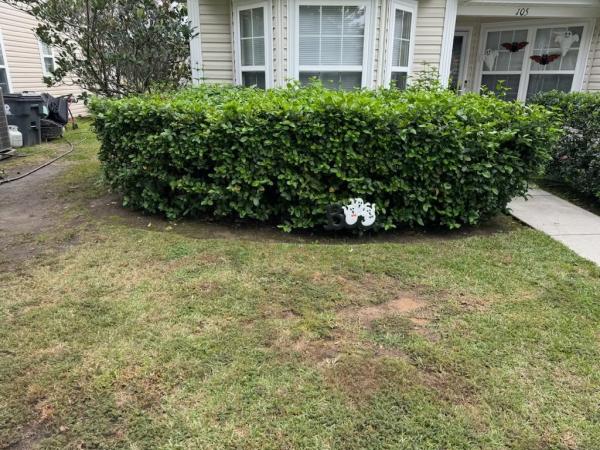 Groundworx Lawn Care