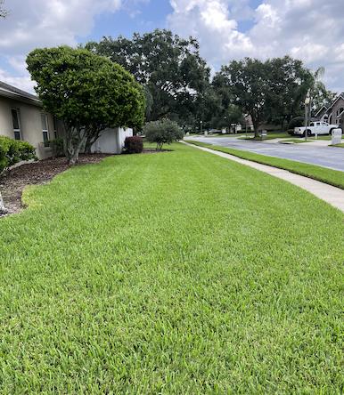 Protex Lawn and Pest Control