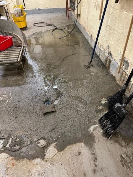 Clearline Sewer