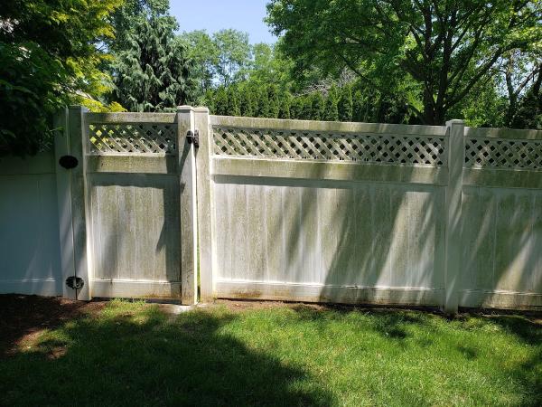 Paddy's Exterior Cleaning Services