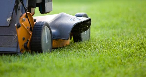 Second Nature Services Landscape and Property Maintenance