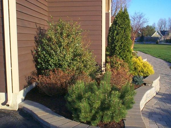 Emil Yedowitz Landscaping Solutions