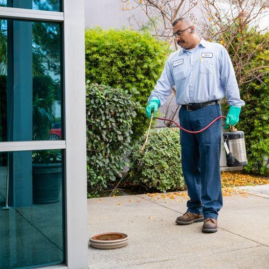 Compass Pest Management