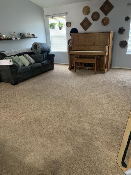Blue Dog Carpet Cleaning