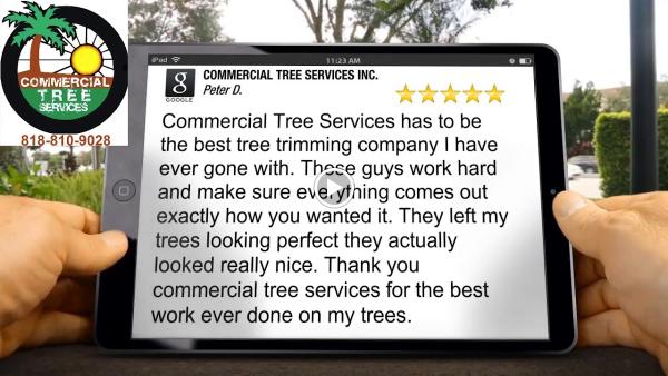 Commercial Tree Services Inc.