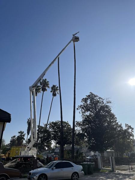 Commercial Tree Services Inc.