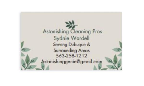 Astonishing Cleaning Pros