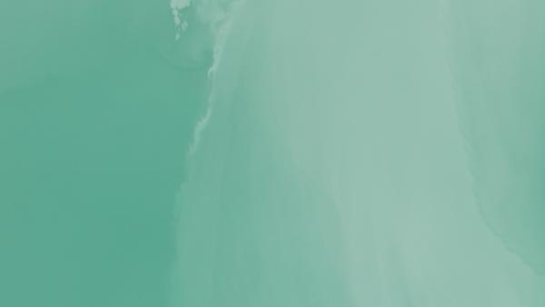 Coastals Cleaning Services
