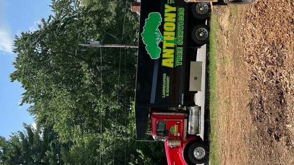 Anthony Tree Services & Landscaping