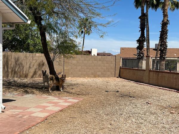 Accurate Concrete and Fence LLC