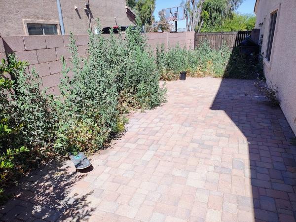 Desert Clean Landscaping Llc