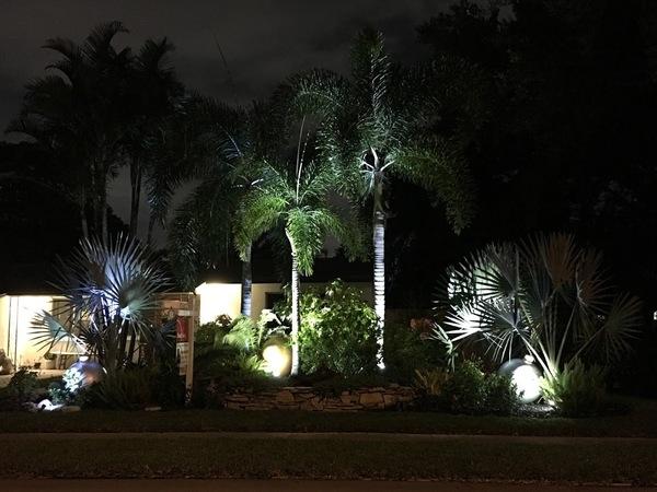 A&K Tree Service and More