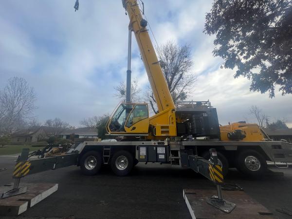Easystumps Tree Services Corp