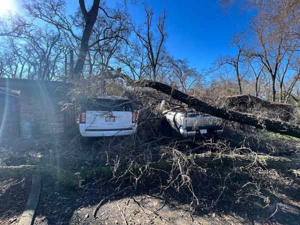 Easystumps Tree Services Corp