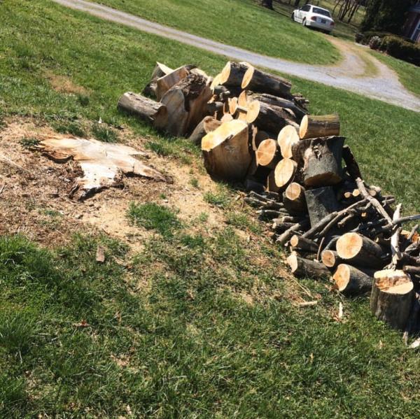 Quality Lawn Care LLC
