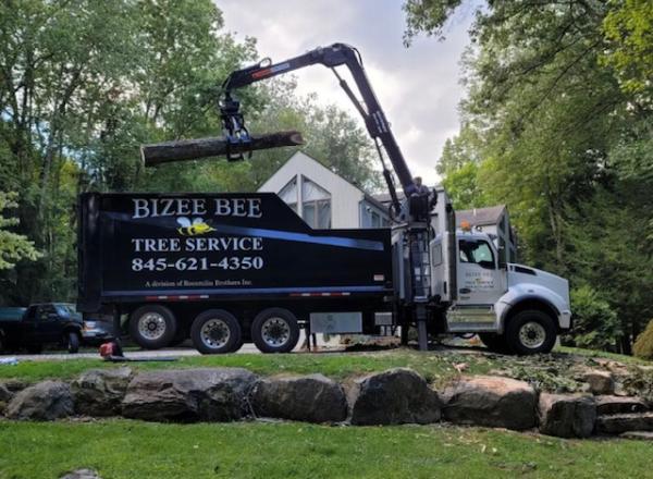 Bizee Bee Tree Service